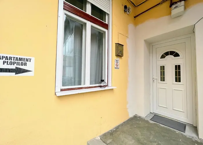 Apartament Plopilor Studios